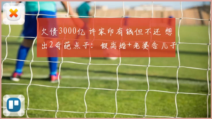 欠债3000亿 许家印有钱但不还 想出2奇葩点子：假离婚+老婆告儿子