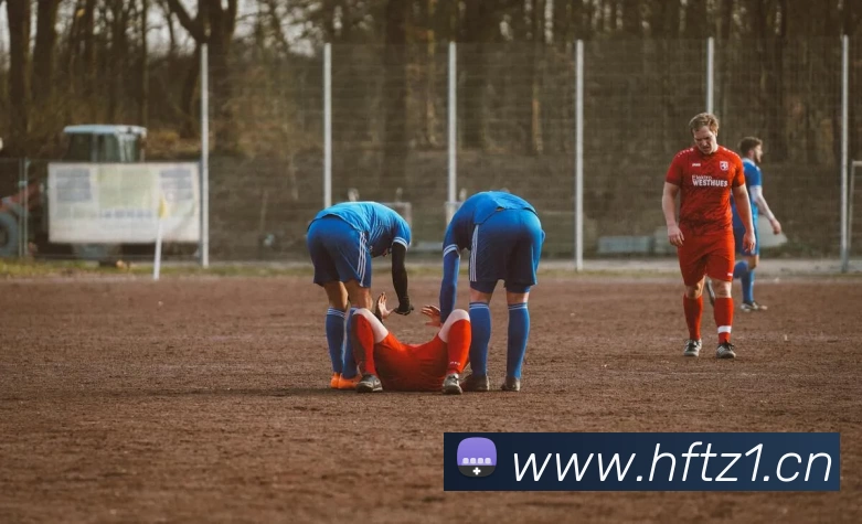 App Interface Preview